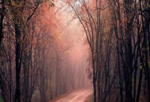 吉伦沃特19+10 徐杰27分钟12+5 广东8人上双大胜四川取4连胜.