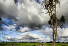 [德甲]第21轮：柏林联合VS沃尔夫斯堡.