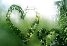 [德甲]第21轮：柏林联合VS沃尔夫斯堡.